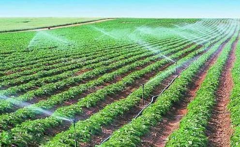 大力插进去欧美农田高 效节水灌溉
